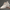 Lewis | Boost your height (+2.4”)